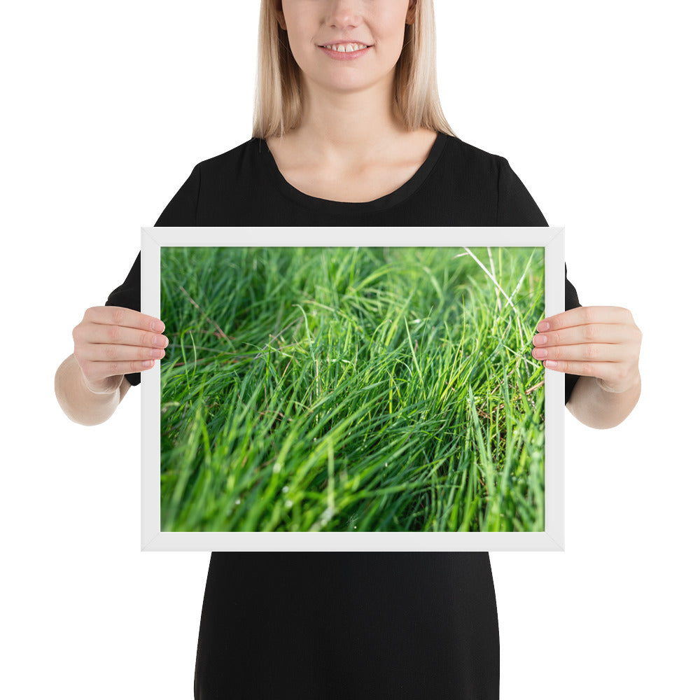 Photographie de 'Le Vent', montrant de l'herbe verte inclinée par une brise légère, encadrée dans un cadre en bois élégant.