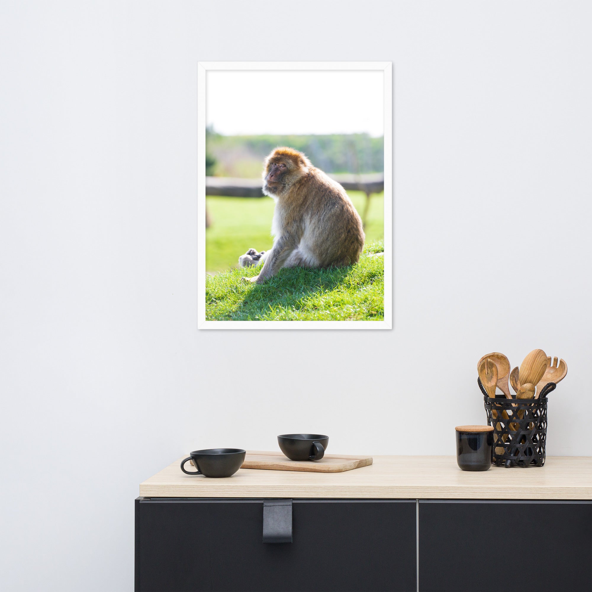 Dans le regard d'un macaque - Poster encadré - La boutique du poster Français