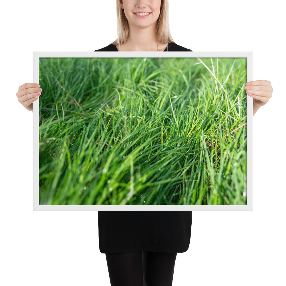 Photographie de 'Le Vent', montrant de l'herbe verte inclinée par une brise légère, encadrée dans un cadre en bois élégant.