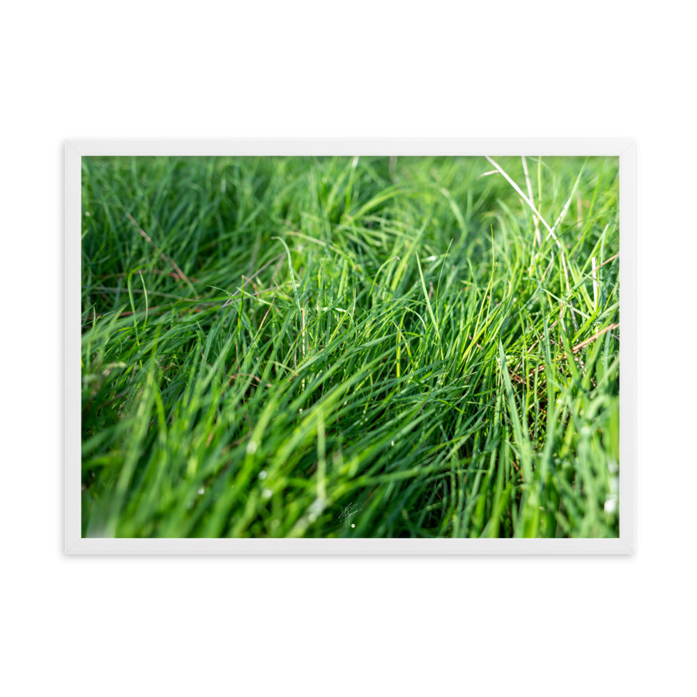 Photographie de 'Le Vent', montrant de l'herbe verte inclinée par une brise légère, encadrée dans un cadre en bois élégant.Photographie de 'Le Vent', montrant de l'herbe verte inclinée par une brise légère, encadrée dans un cadre en bois élégant.