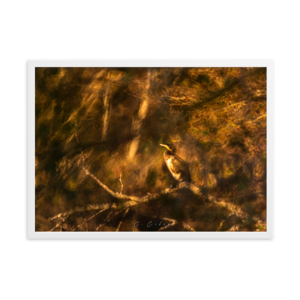 Cormoran élégamment perché sur une branche, évoquant un tableau de maître, encadré en chêne massif, une fusion unique entre photographie et peinture signée Charles Coley.