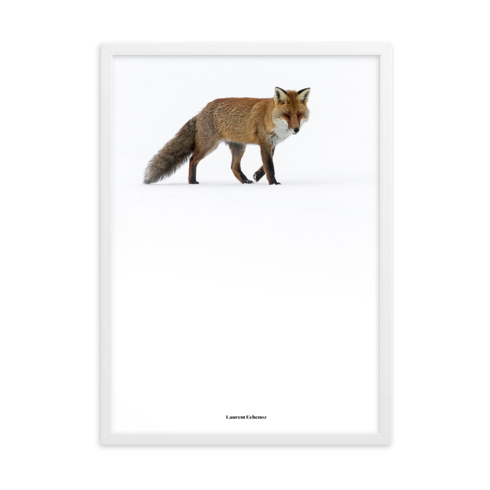 Photographie 'Doux Roux' de Laurent Echenoz, montrant un renard roux dans un paysage hivernal, encadré en aulne ou chêne pour une élégance naturelle.