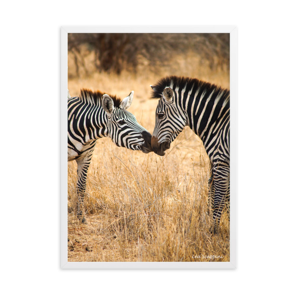 Image émouvante de zèbres dans un moment intime au Serengeti, une œuvre de Léa Scappini, parfaite pour capturer l'essence de la vie sauvage africaine.
