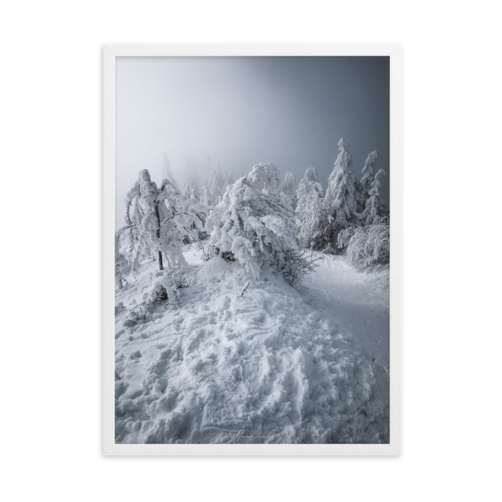 Photographie d'un paysage hivernal avec des arbres enneigés et une brume légère, capturée par Florian Vaucher, illustrant un univers monochrome et tranquille.