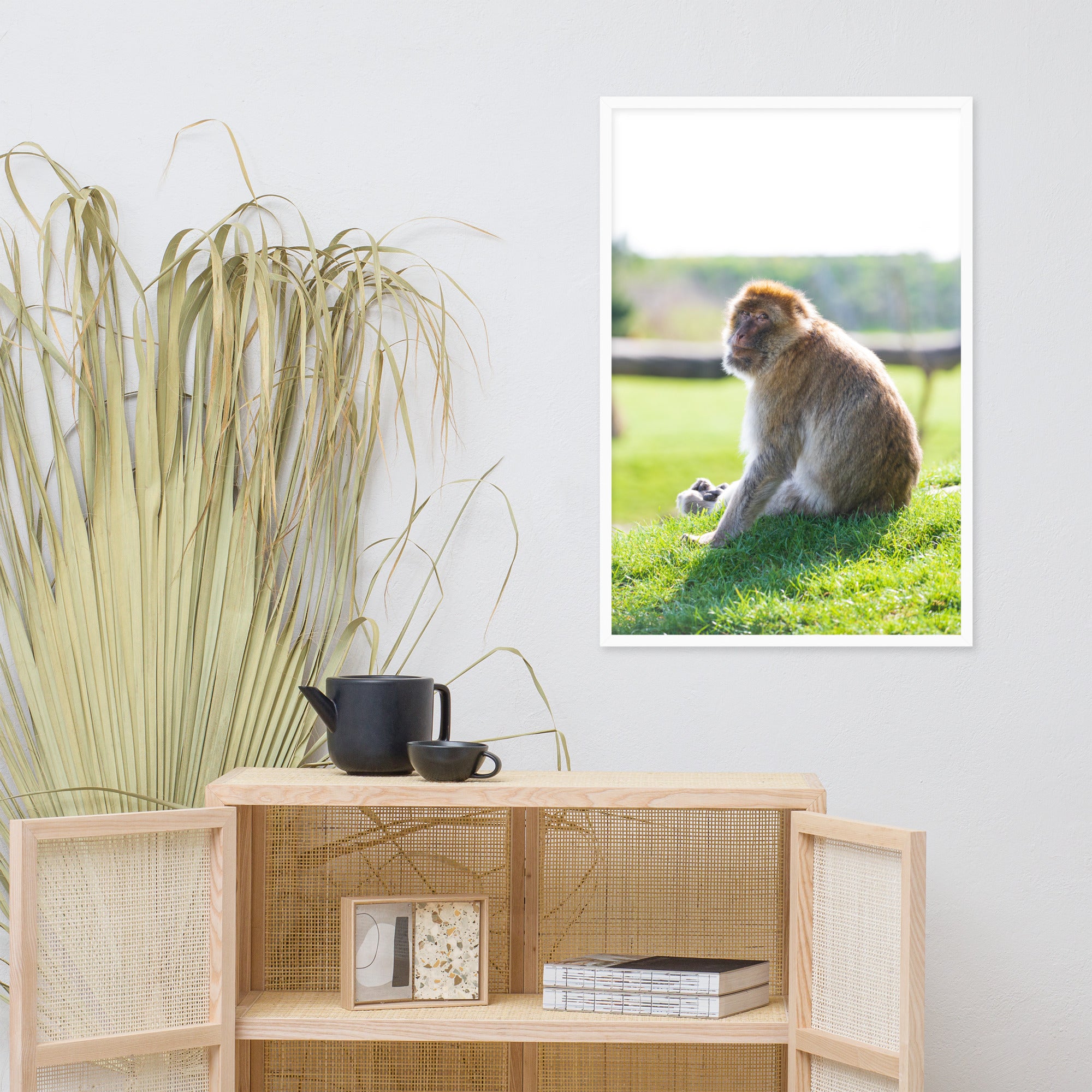 Dans le regard d'un macaque - Poster encadré - La boutique du poster Français