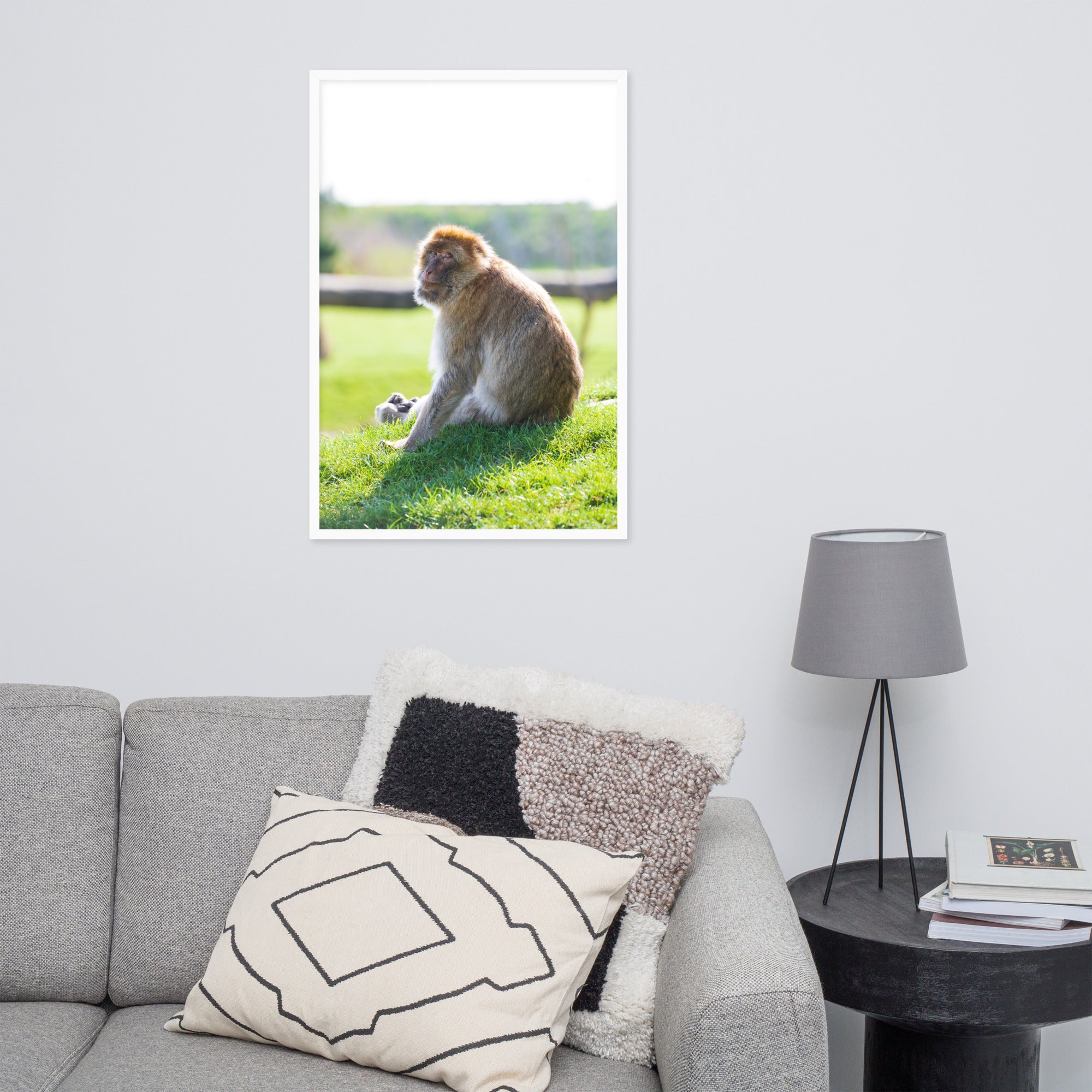 Dans le regard d'un macaque - Poster encadré - La boutique du poster Français