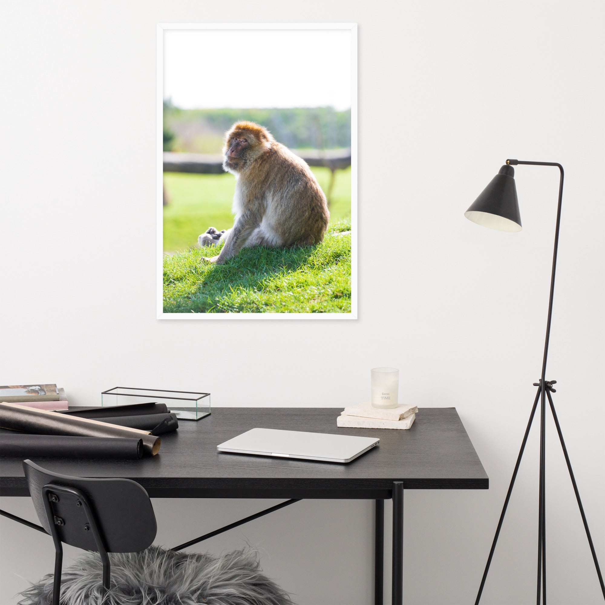 Dans le regard d'un macaque - Poster encadré - La boutique du poster Français