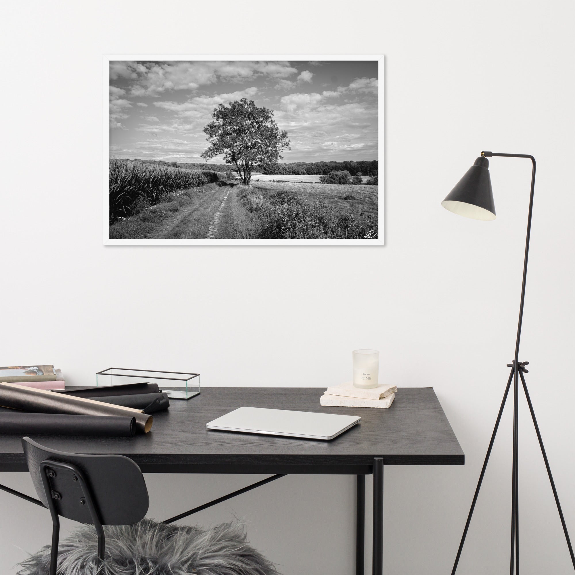 Poster en noir et blanc 'Le Grand Arbre', mettant en vedette un arbre robuste et serein au bord d'un champ ouvert, photographié de manière artistique par Ilan Shoham, offrant une présence apaisante et majestueuse à votre espace.