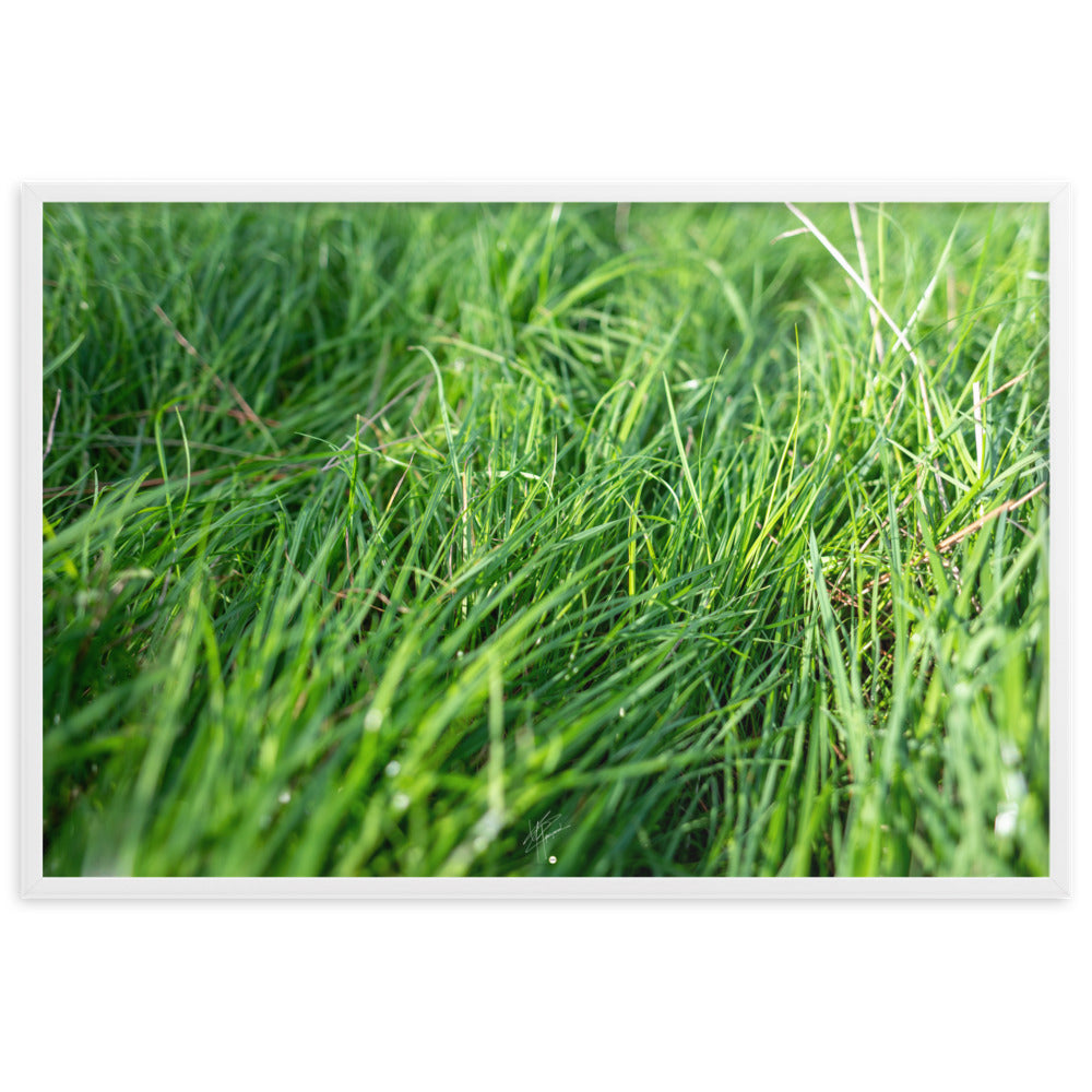 Photographie de 'Le Vent', montrant de l'herbe verte inclinée par une brise légère, encadrée dans un cadre en bois élégant.