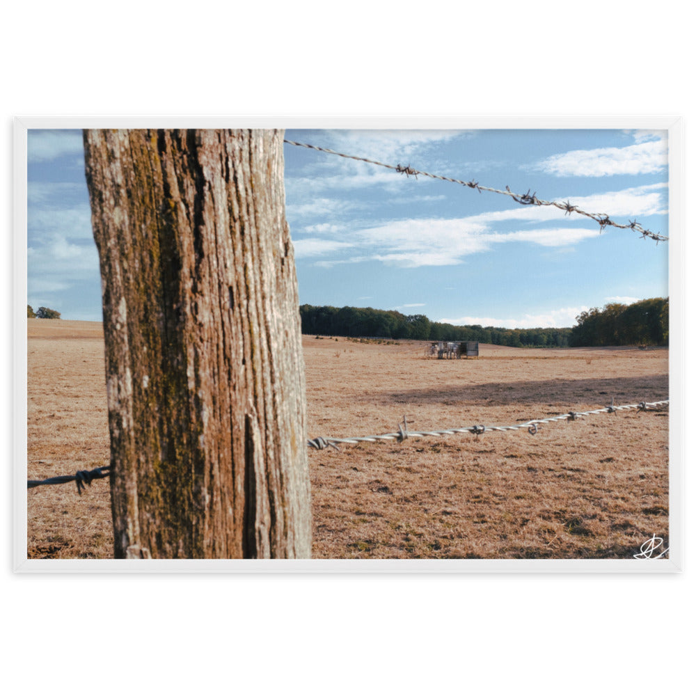 Photographie 'Campagne Sèche' par Ilan Shoham, capturant la résilience de la nature rurale à travers des barbelés, encadrée pour une réflexion profonde.
