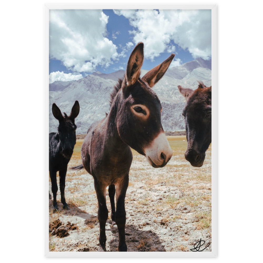 Photographie encadrée 'Les ânes' par Ilan Shoham, dépeignant trois ânes dans un décor aride de la Vallée de Noubra, avec des montagnes imposantes en arrière-plan dans une impression de qualité musée.