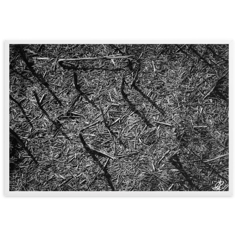 Photographie artistique 'Champ Brûlé' par Ilan Shoham, illustrant un champ noir récemment ravagé par le feu, une image évoquant à la fois la perte et la beauté tranquille de la régénération naturelle, en grand format noir et blanc.