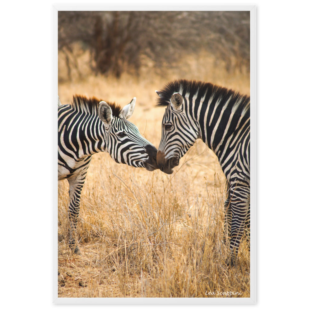 Image émouvante de zèbres dans un moment intime au Serengeti, une œuvre de Léa Scappini, parfaite pour capturer l'essence de la vie sauvage africaine.