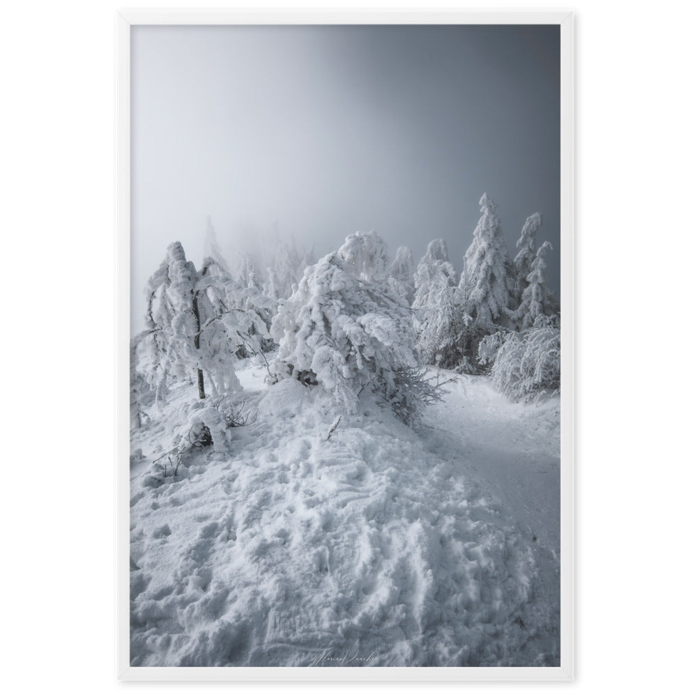 Photographie d'un paysage hivernal avec des arbres enneigés et une brume légère, capturée par Florian Vaucher, illustrant un univers monochrome et tranquille.