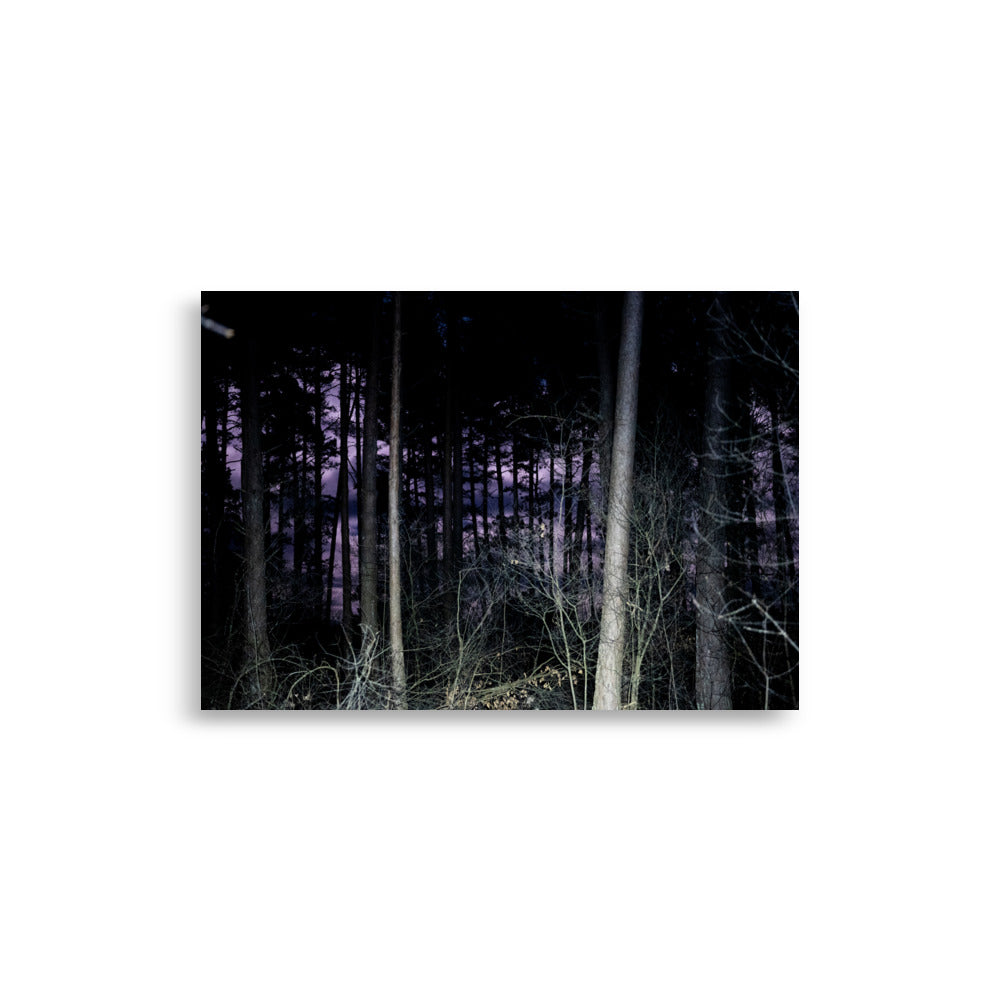  Poster de photographie d'une forêt la nuit éclairée par la lune, située dans le Cantal, près de la ville de Mauriac.
