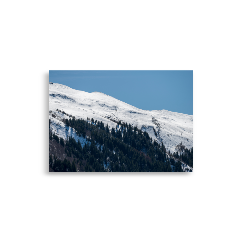 Photographie de montagnes enneigées avec petite forêt de sapins du Cantal.