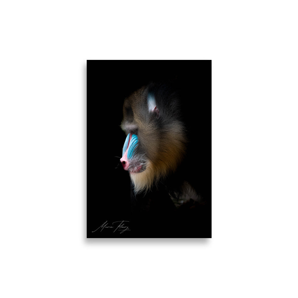 Portrait en profil d'un Mandrill aux couleurs vives, sur fond noir, œuvre artistique signée par Mademoiselle M et Maria Fleury.