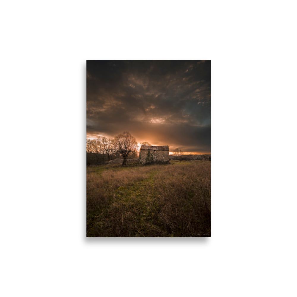 Photographie d'une maison de campagne abandonnée, un arbre solitaire, et un coucher de soleil doré en Occitanie, capturée par Florian Vaucher.