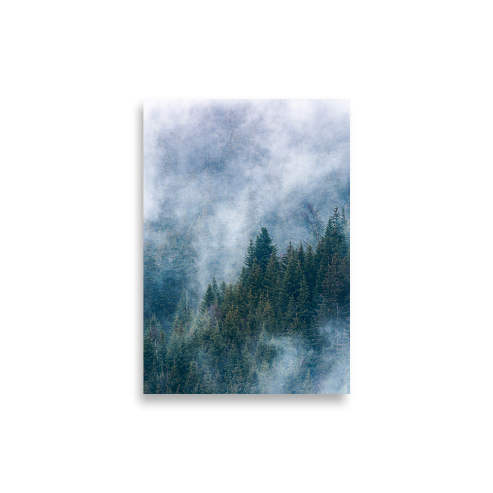 Vue aérienne d'une dense forêt de sapins enveloppée de nuages, capturée avec précision par Charles Coley, évoquant sérénité et mystère.