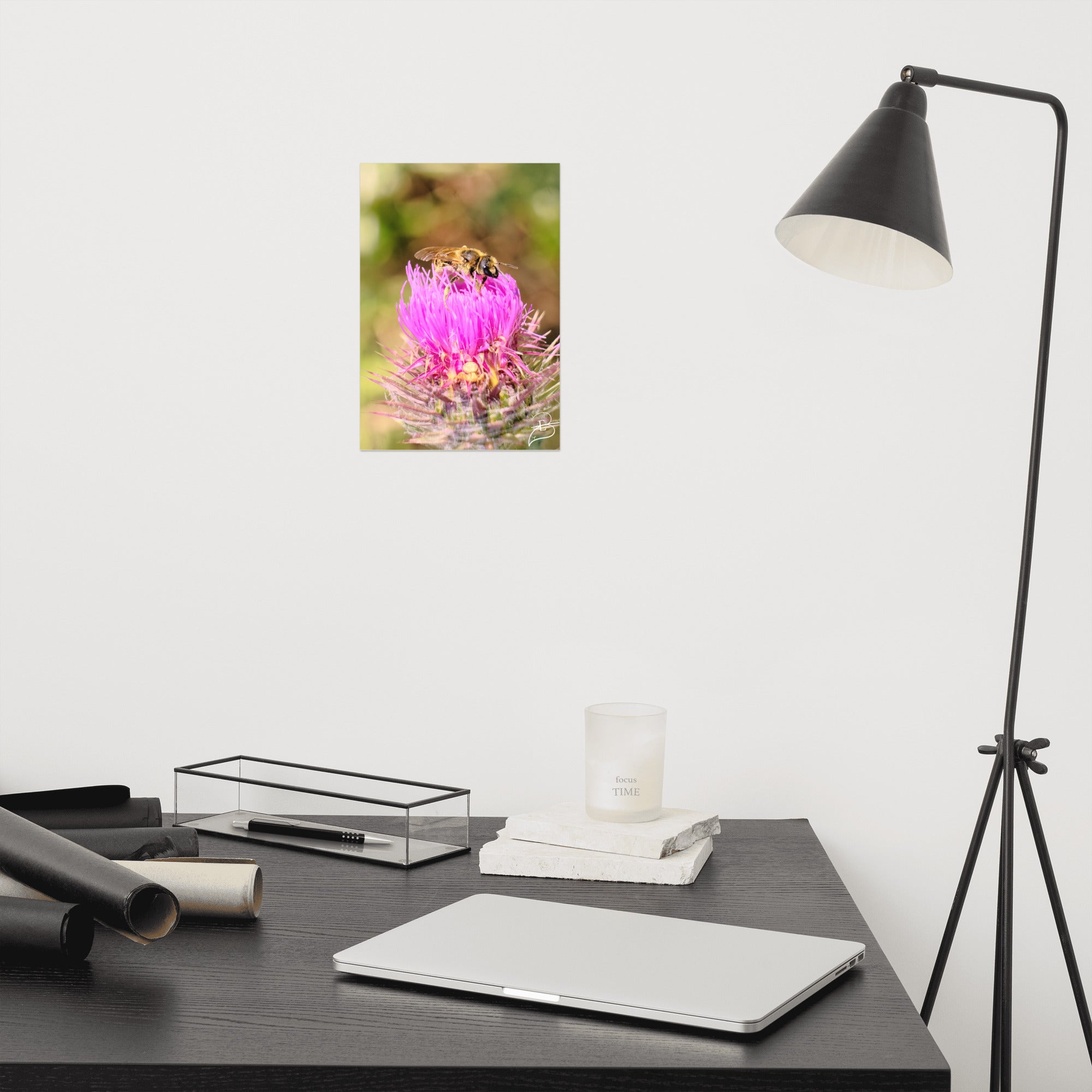 Photographie détaillée d'une abeille collectant du pollen sur une fleur de chardon marie, mettant en évidence la complexité de la nature, œuvre d'Eli Bernet.