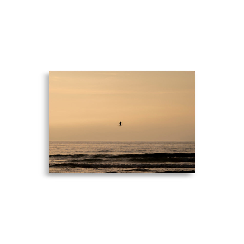 Photographie d'un coucher de soleil en bord de mer avec reflet du soleil sur les vagues, horizon doré et oiseau volant au-dessus de la mer.