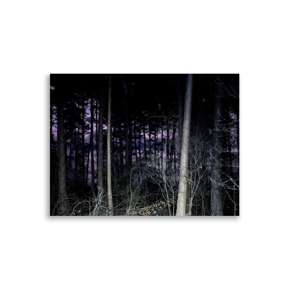  Poster de photographie d'une forêt la nuit éclairée par la lune, située dans le Cantal, près de la ville de Mauriac.
