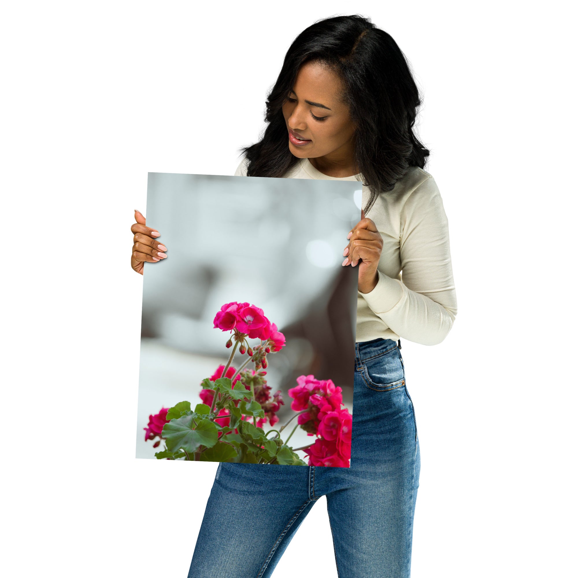 Poster 'Géraniums' présentant une photographie détaillée de géraniums en pleine floraison.