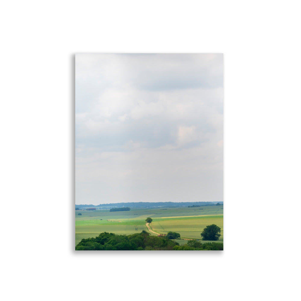 Poster 'Provins' présentant une photographie d'un paysage français, un champ et une forêt au loin, vue depuis le sommet du château de Provins.