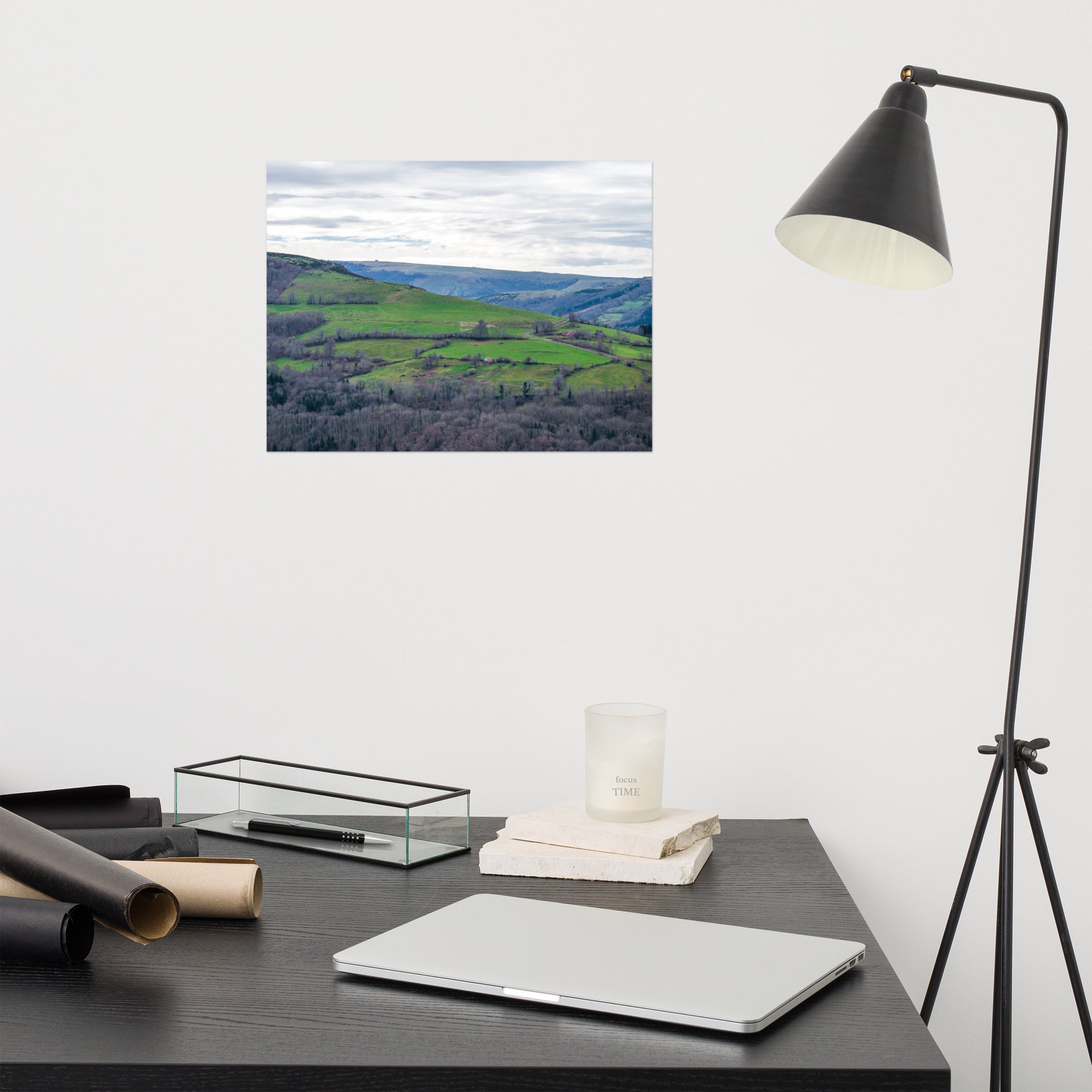 Paysage du Cantal : forêt dense à côté de prairies verdoyantes en haute altitude.