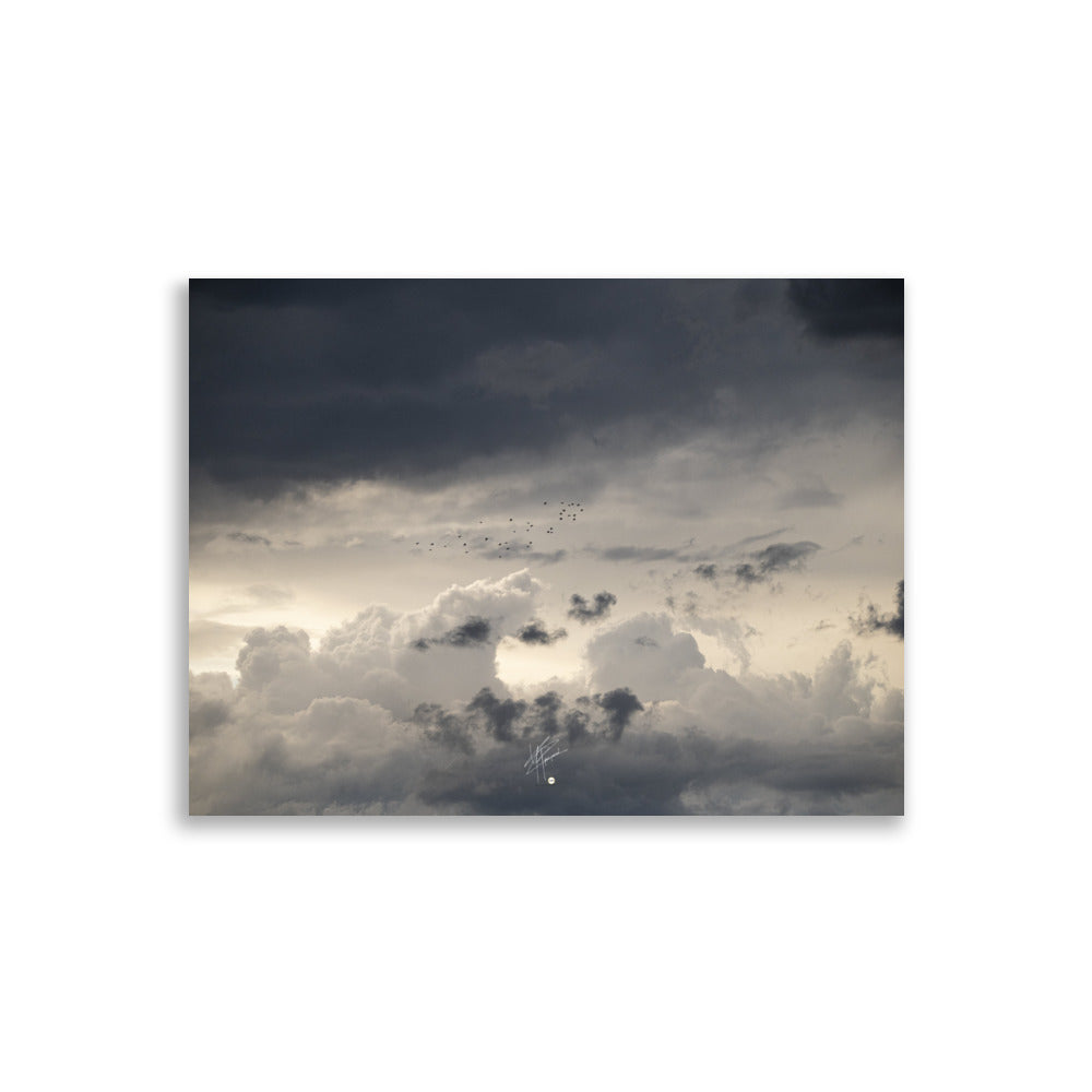 Une photographie du ciel parsemé de nuages blancs et sombres, suggérant une histoire éthérée, avec des oiseaux en vol renforçant sa profondeur.