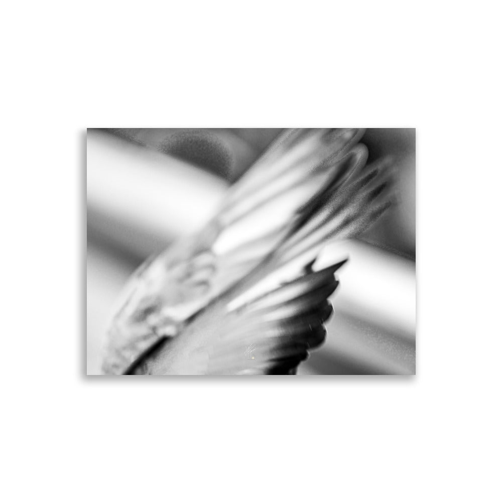 Photographie en noir et blanc du poster 'La touche', mettant en scène les ailes de pigeons en plein vol pour capturer l'essence du mouvement éphémère.