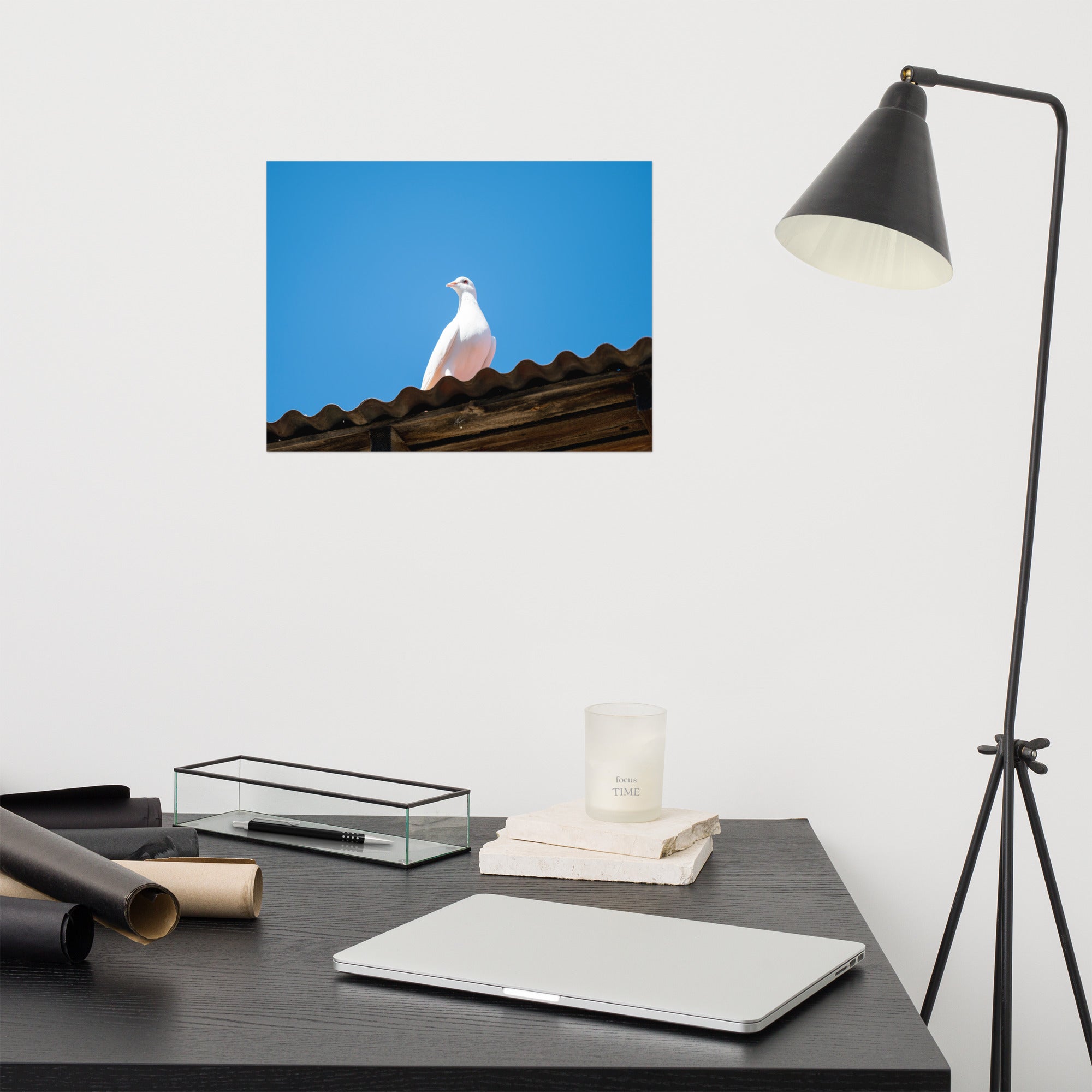 Photographie délicate 'Blanche Colombe' montrant un oiseau blanc en contemplation, imprimée sur papier haut de gamme.