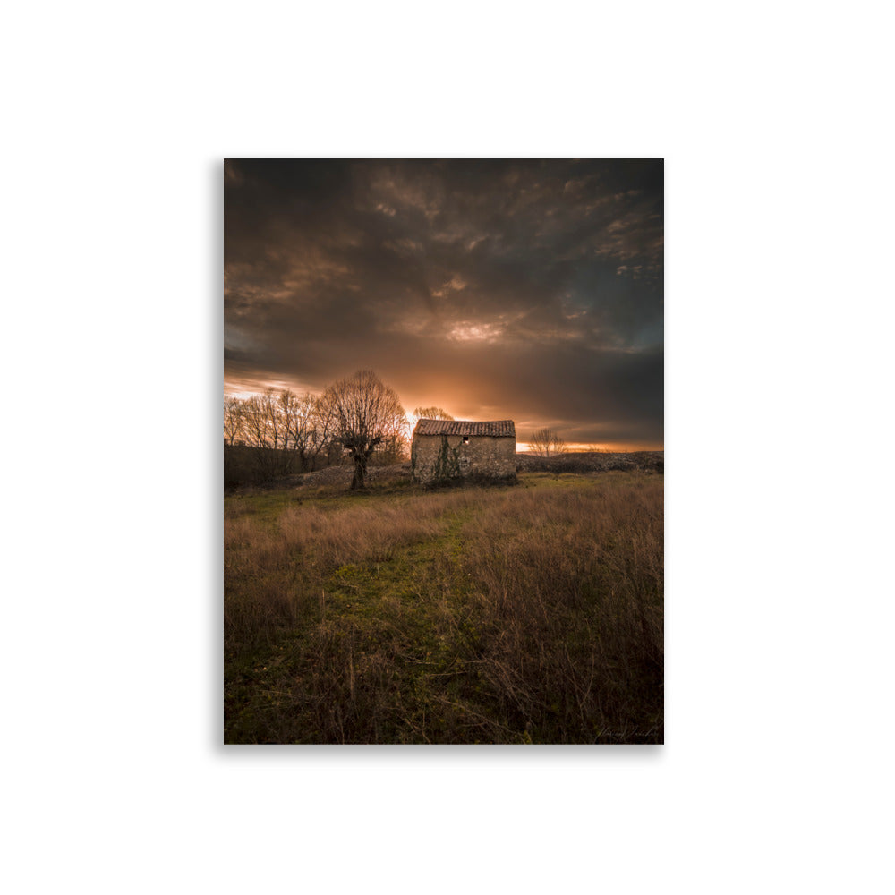 Photographie d'une maison de campagne abandonnée, un arbre solitaire, et un coucher de soleil doré en Occitanie, capturée par Florian Vaucher.