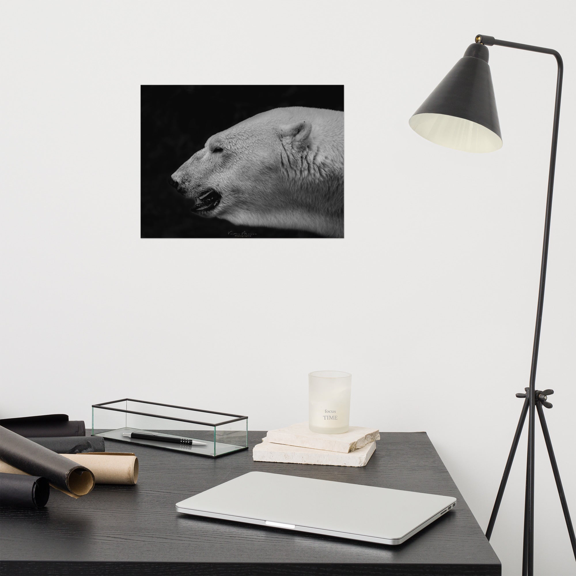 Portrait 'The White', capturant l'élégance et la puissance tranquille d'un ours polaire, son pelage blanc vibrant contrastant de manière saisissante avec un arrière-plan noir profond, créé par la photographe Victor Marre.