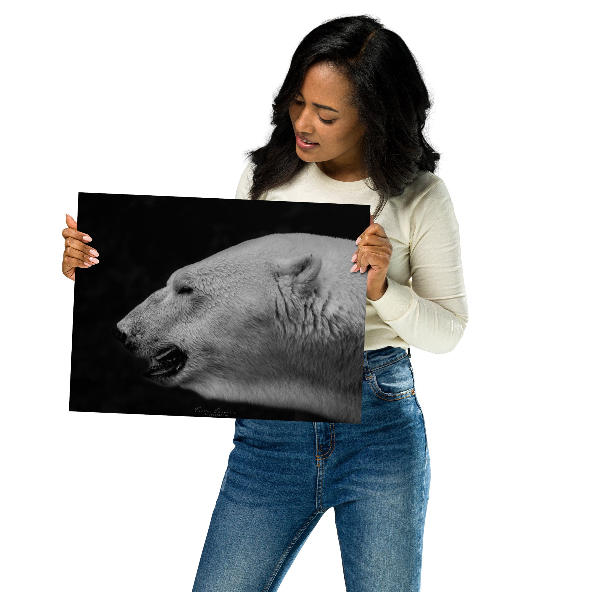 Portrait 'The White', capturant l'élégance et la puissance tranquille d'un ours polaire, son pelage blanc vibrant contrastant de manière saisissante avec un arrière-plan noir profond, créé par la photographe Victor Marre.