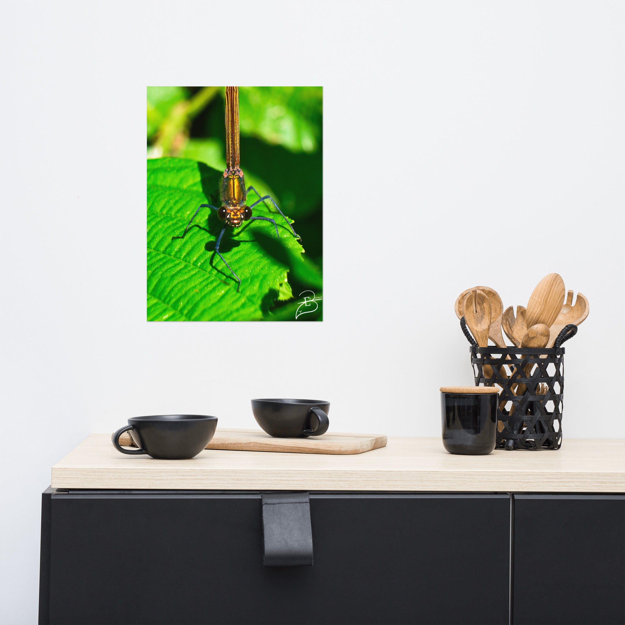 Photographie macro d'une femelle Libellule sur une feuille verte, les yeux fixant l'objectif, capturant la délicatesse de la nature, œuvre signée Eli Bernet.