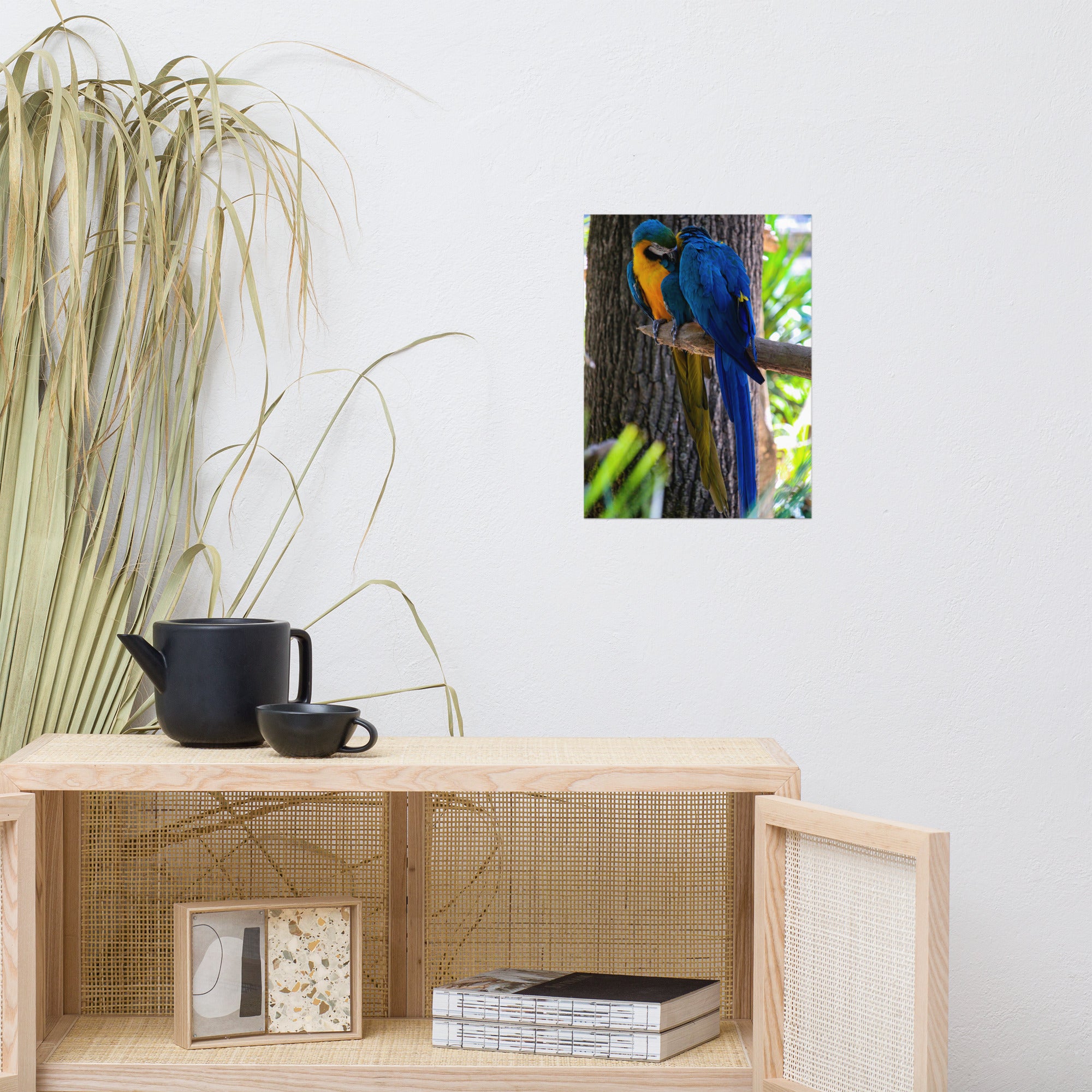 Photographie 'L'Étreinte' par Hadrien Geraci, capturant un moment tendre entre deux Ara bleus sur une branche.