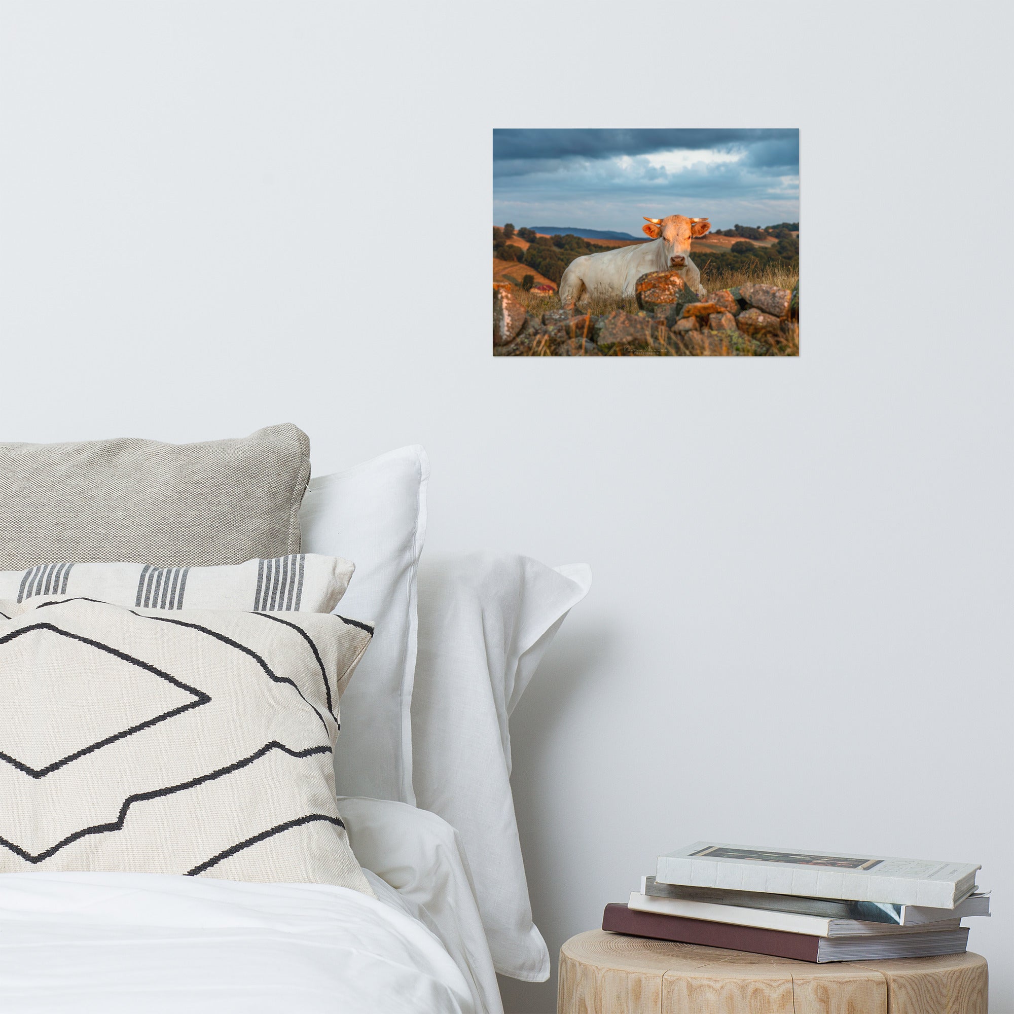 Poster 'Vache à l'Aube' illustrant une vache Charolaise entourée d'herbes hautes avec un fond montagneux au lever du soleil, photographié par Victor Marre.