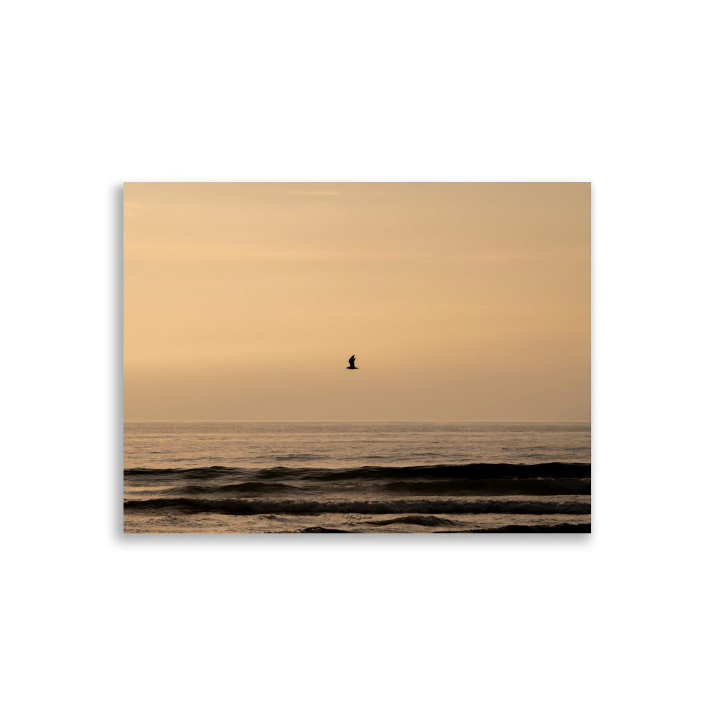 Photographie d'un coucher de soleil en bord de mer avec reflet du soleil sur les vagues, horizon doré et oiseau volant au-dessus de la mer.