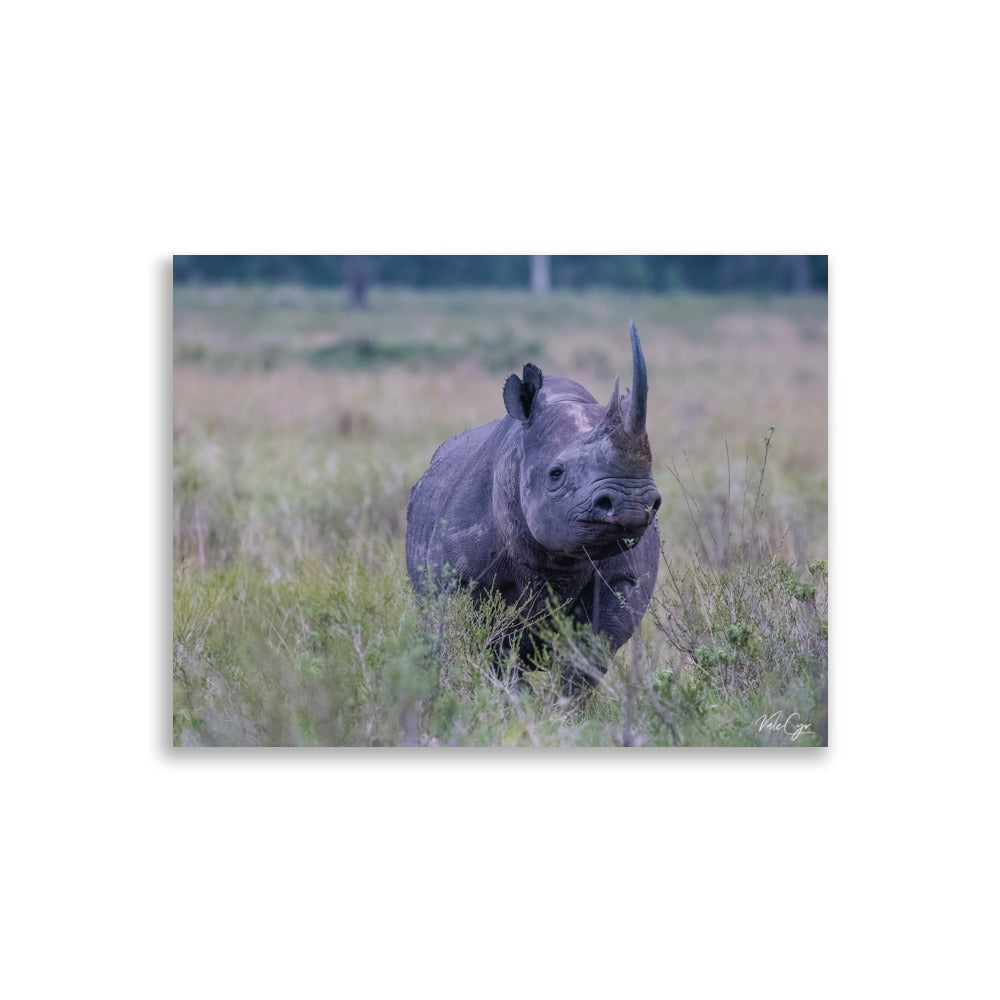Image impressionnante d'un rhinocéros en silhouette dans la savane africaine, une œuvre de Valerie et Cyril BUFFEL, parfaite pour capturer l'essence de la nature brute et sauvage.