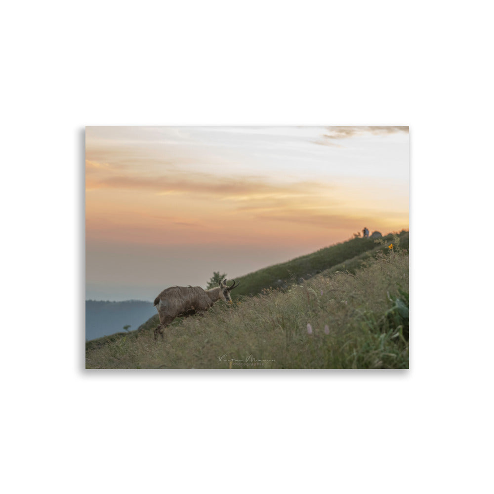 Poster "Crépuscule Montagnard" montrant un chamois dans un paysage montagneux au crépuscule, par Victor Marre.