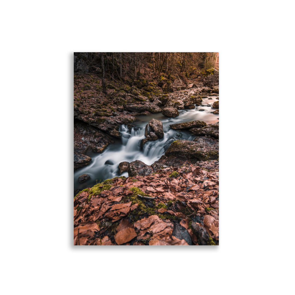 "Cascade d'Automne" de Florian Vaucher, un magnifique tableau représentant une cascade paisible parmi les feuilles d'automne.