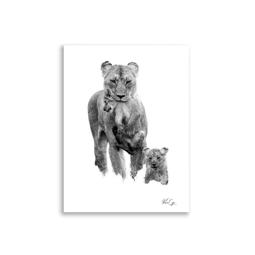 Affiche Lionne et Lionceaux