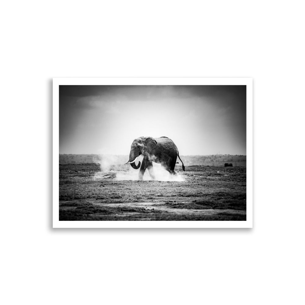 Poster animal sauvage en Afrique un éléphant