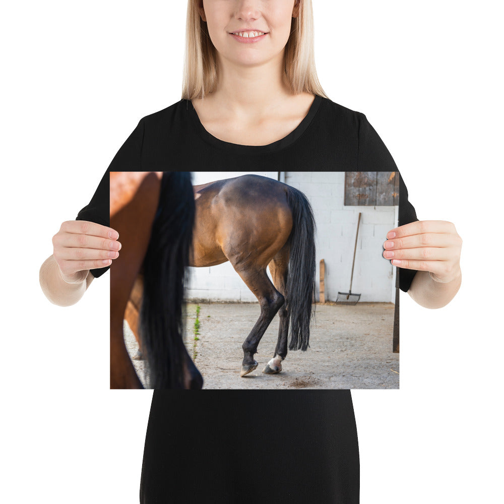 Photographie artistique 'Au repos dans l'écurie' dépeignant le mouvement gracieux d'un cheval, imprimée sur du papier de première qualité.