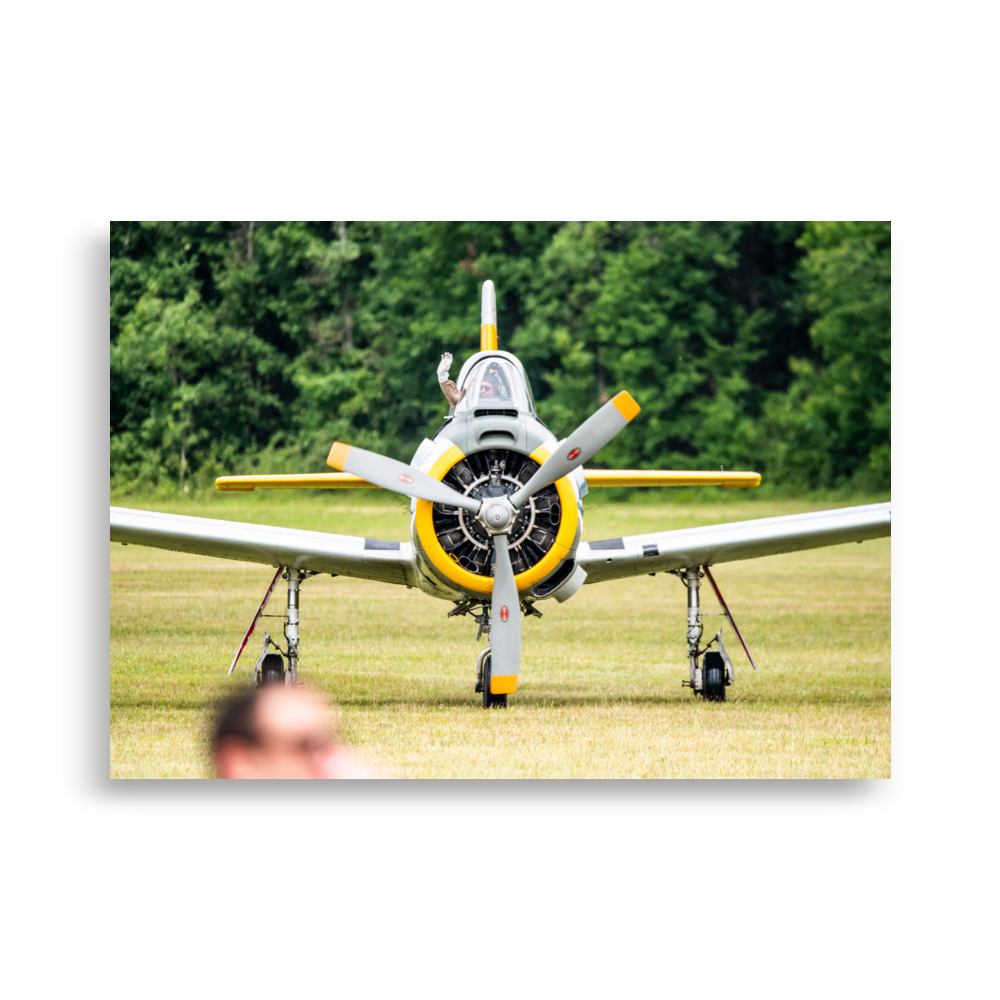 P-51 Mustang N02 - Wall Poster