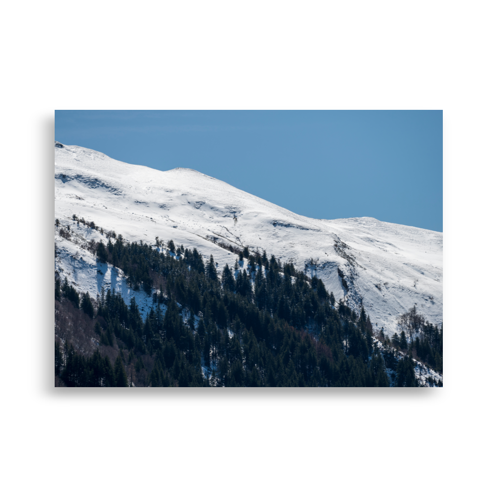 Photographie de montagnes enneigées avec petite forêt de sapins du Cantal.