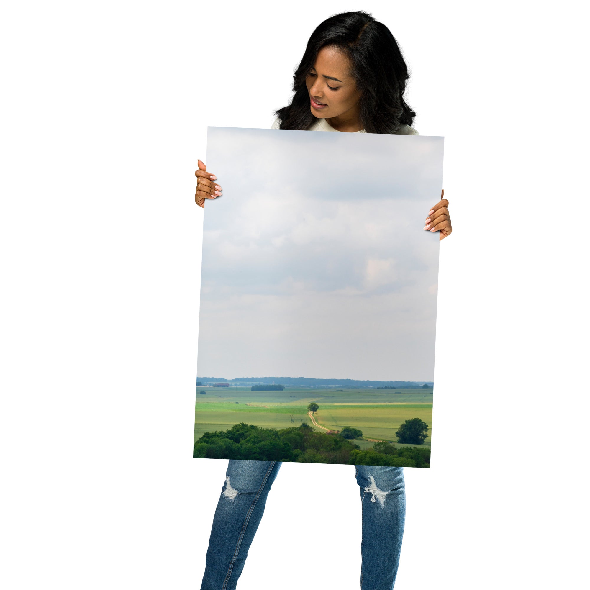 Poster 'Provins' présentant une photographie d'un paysage français, un champ et une forêt au loin, vue depuis le sommet du château de Provins.