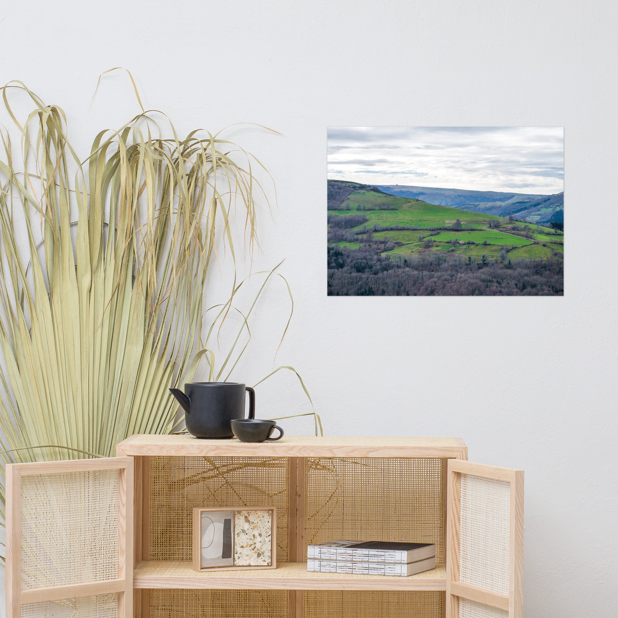 Paysage du Cantal : forêt dense à côté de prairies verdoyantes en haute altitude.