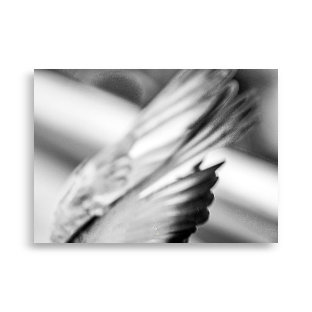 Photographie en noir et blanc du poster 'La touche', mettant en scène les ailes de pigeons en plein vol pour capturer l'essence du mouvement éphémère.